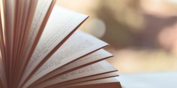 open paperback book with pages fanned, there is sunlight in the background - Photo by Caio: https://www.pexels.com/photo/book-opened-on-white-surface-selective-focus-photography-46274/