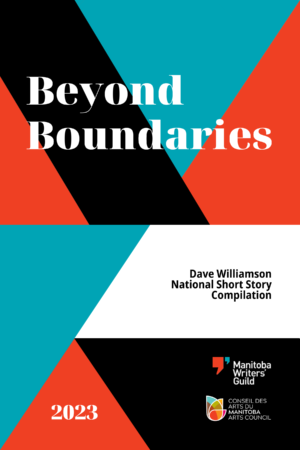 beyond boundaries cover