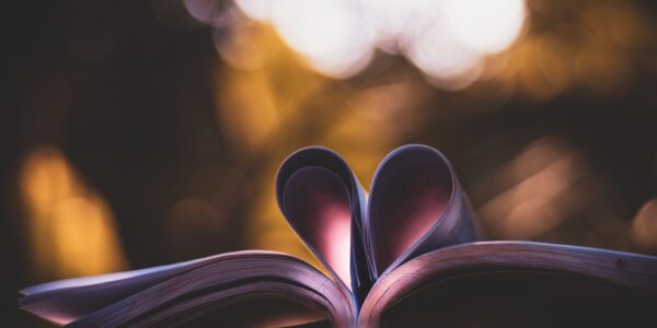 book laying open with pages tucked into the centre forming a heart Photo by Rahul Pandit: https://www.pexels.com/photo/heart-book-art-on-bokeh-photography-1884326/
