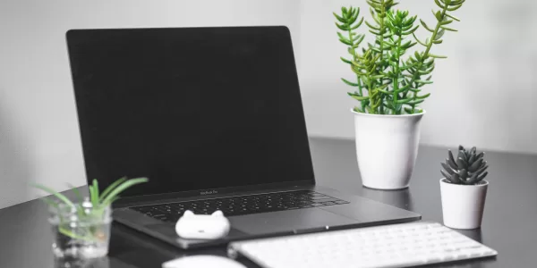 laptop and keyboard on dark surface with several small potted succulents nearby Photo by Jean-Daniel Francoeur: https://www.pexels.com/photo/macbook-on-a-table-4006182/